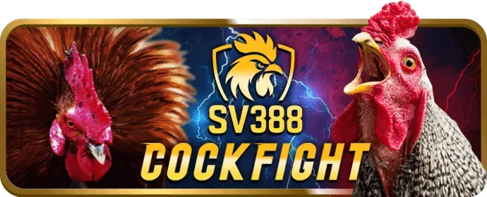 Công nghệ VR AR và tối ưu di động f1687vip